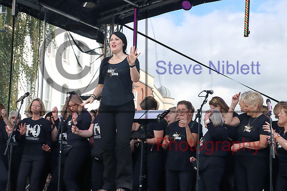 Applefest (25)