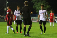 HFCvWalsallWood023