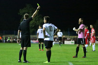 HFCvWalsallWood024
