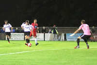 HFCvWalsallWood027