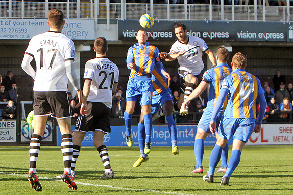 20121103Shrews2 (7)