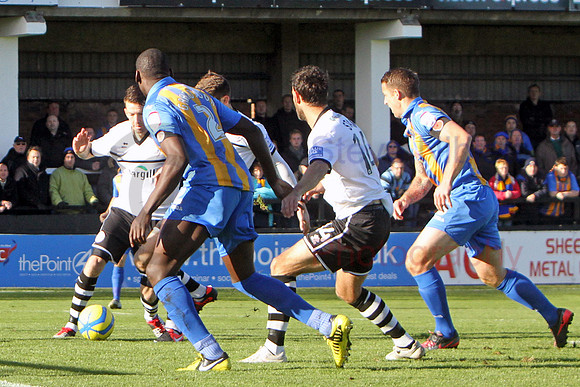 20121103Shrews2 (8)