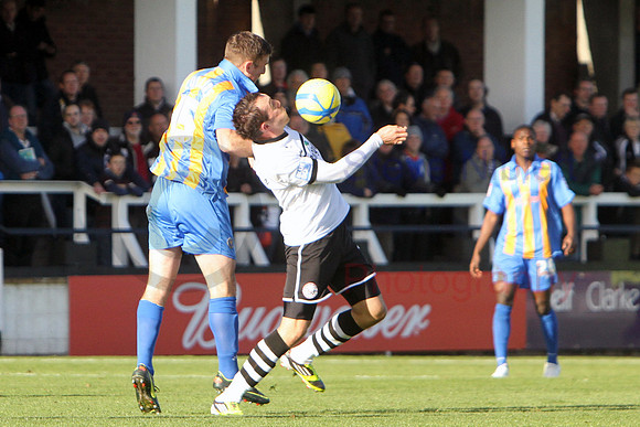 20121103Shrews2 (12)
