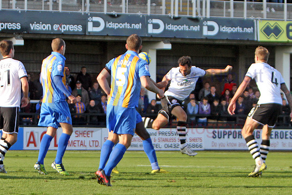 20121103Shrews2 (15)