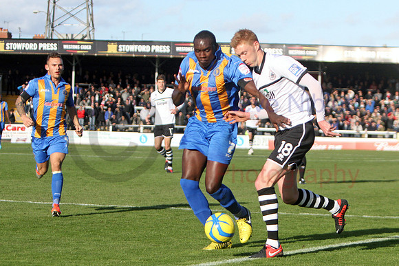 20121103Shrews2 (14)