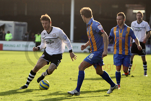 20121103Shrews2 (19)