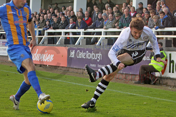 20121103Shrews2 (20)