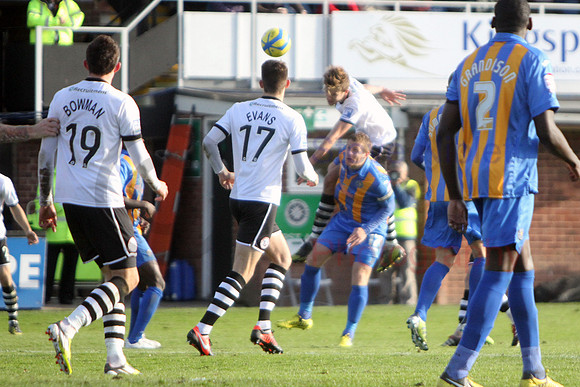 20121103Shrews2 (21)