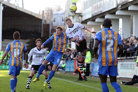 20121103Shrews2 (23)