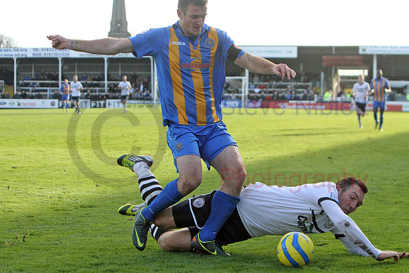20121103Shrews2 (25)