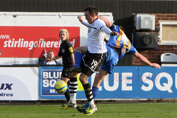 20121103Shrews2 (27)