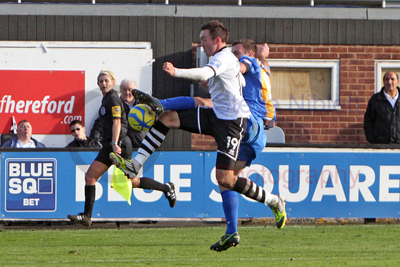 20121103Shrews2 (26)