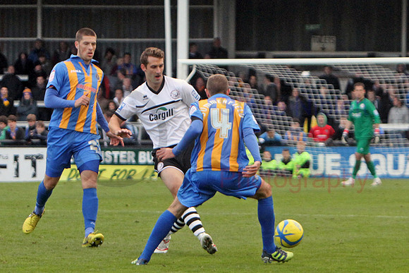 20121103Shrews2 (29)