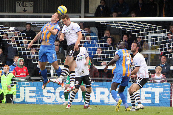 20121103Shrews2 (30)