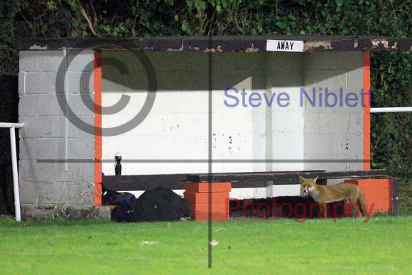 UITCvWednesfield001