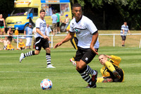 HUFCvLTFC010