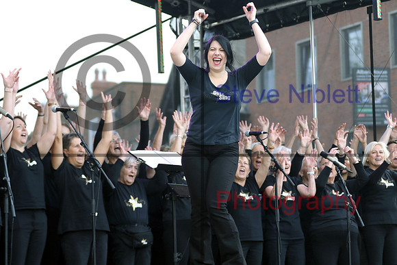 Applefest (17)
